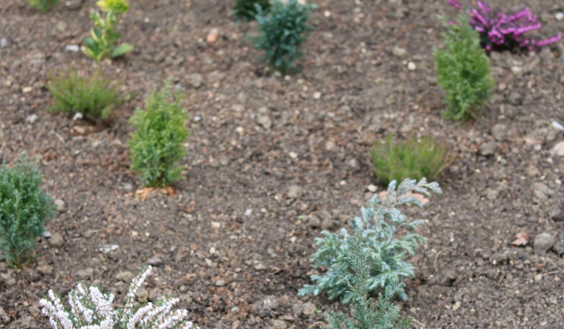 Green Changes From Our Grounds Team