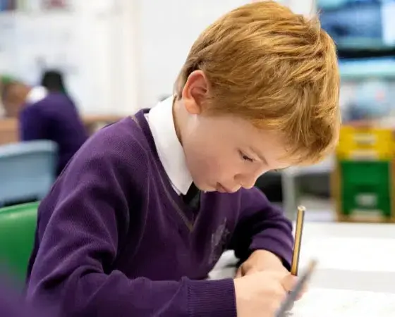 Learning at Wycliffe